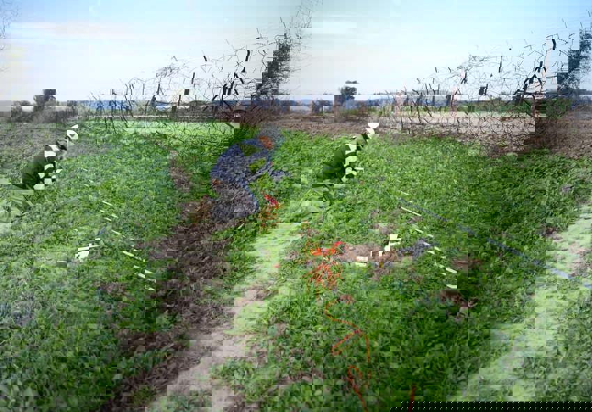 העבודות להקמת המכשול הביטחוני בגבול המזרחי מתרחבות 7.1.25 2